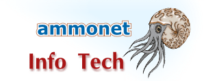 ammonet InfotTech Siti Web Gestione Sviluppo Promozione Registrazione